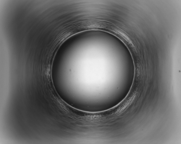 X0000093160793200710171209