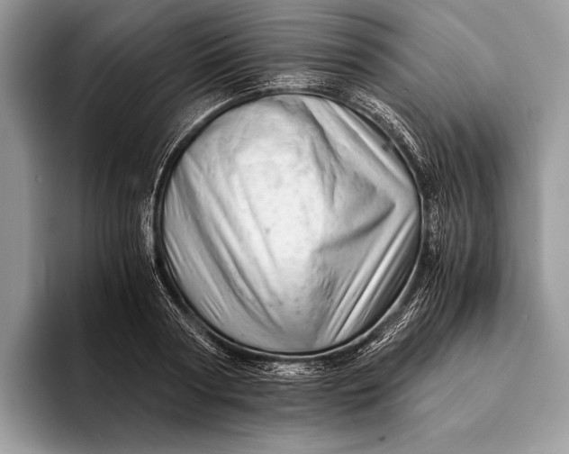 X0000093160794200710171209