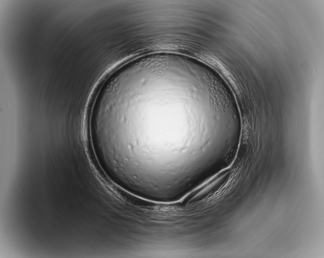 X0000093160795200710171209