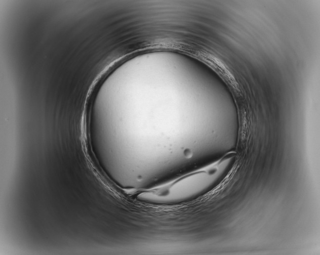 X0000093160796200710171209