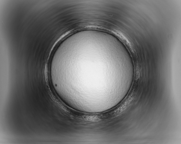 X0000093160798200710171209