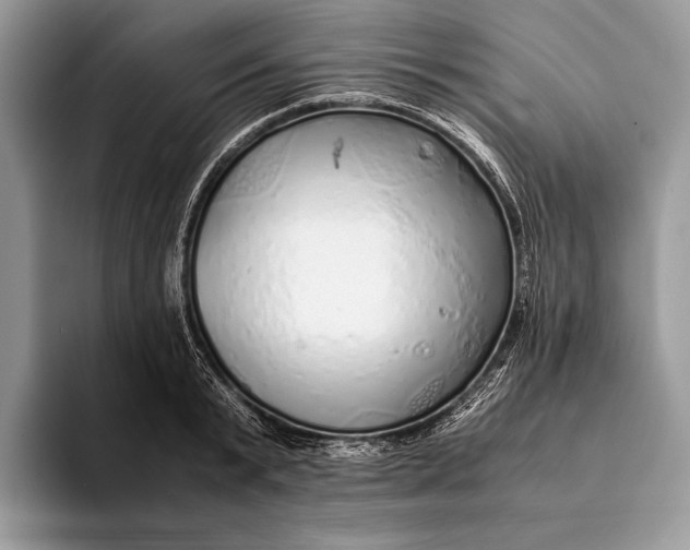 X0000093160799200710171209