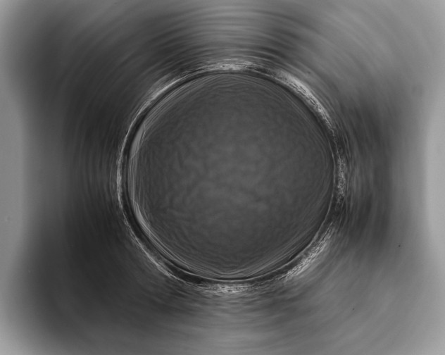 X0000093160802200710171208