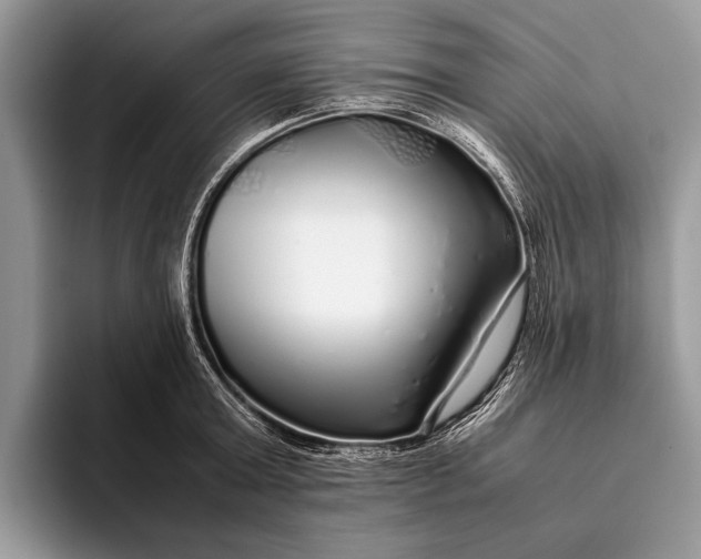 X0000093160803200710171208