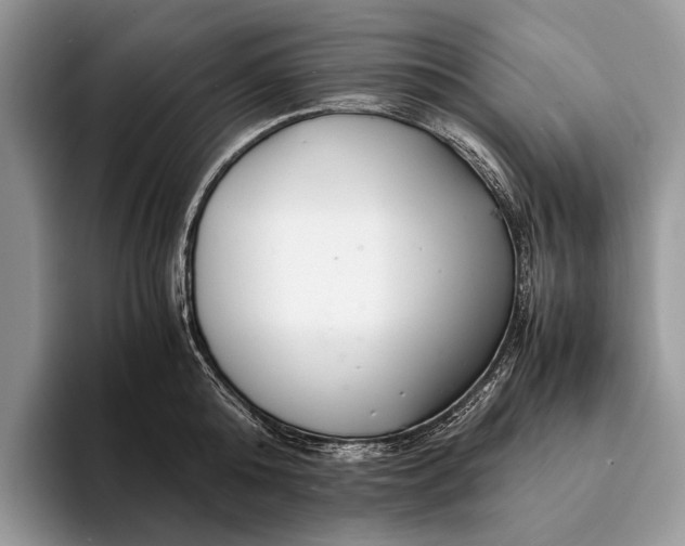 X0000093160808200710171208