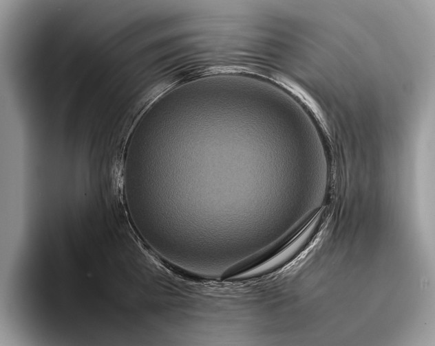 X0000093160809200710171208