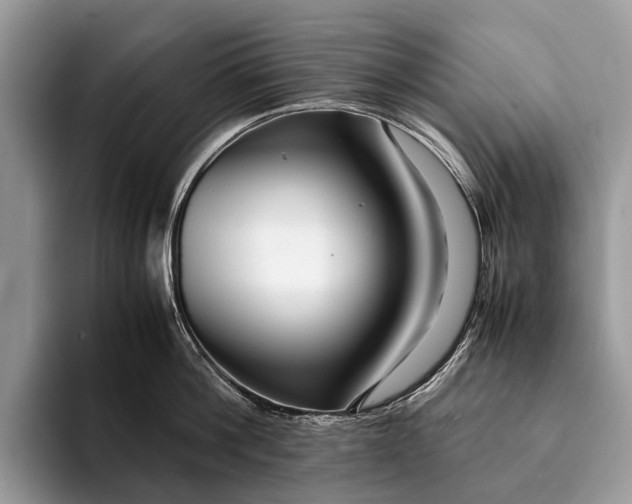 X0000093160812200710171208