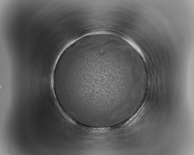 X0000093160813200710171208