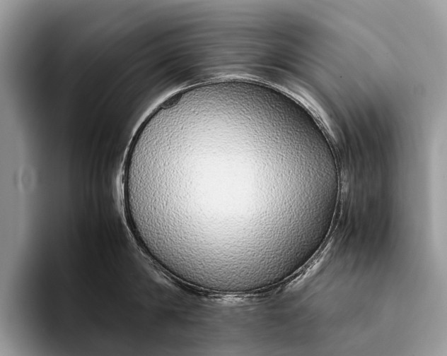 X0000093160814200710171208