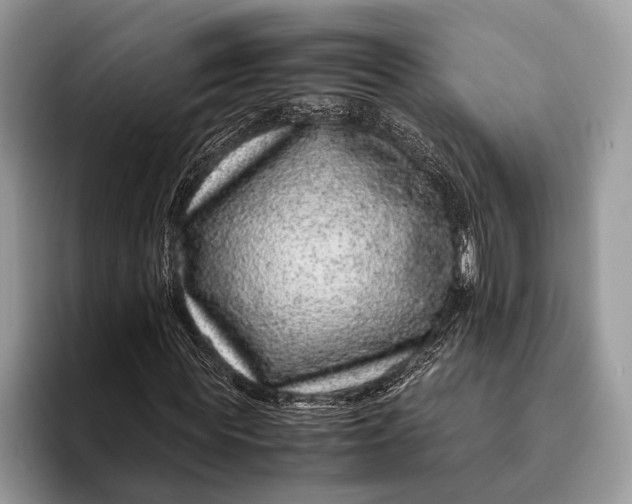 X0000093160819200710171208