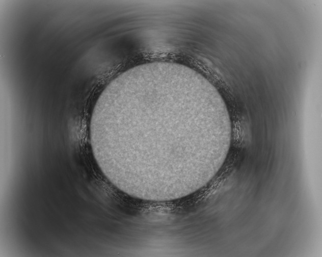 X0000093160820200710171208