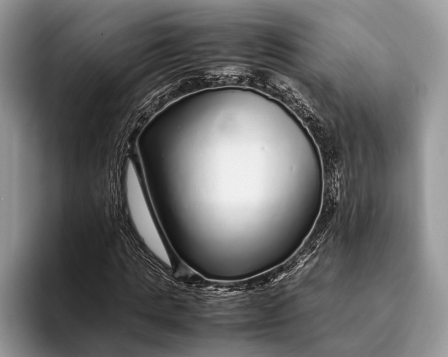 X0000093160821200710171208
