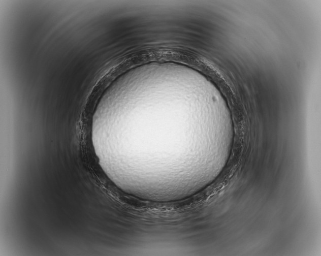 X0000093160823200710171208
