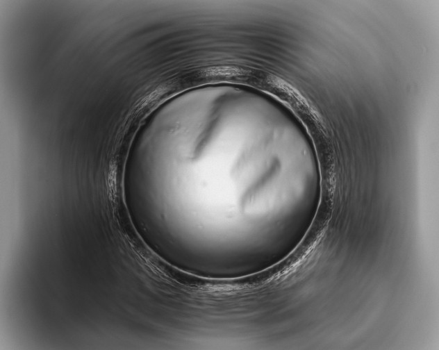 X0000093160825200710171208