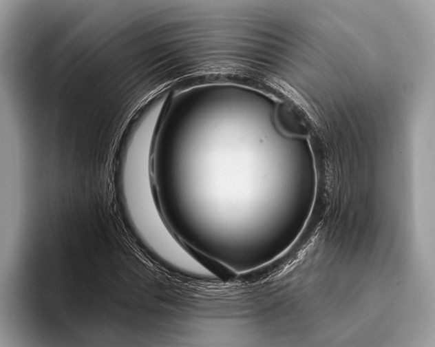 X0000093160826200710171208