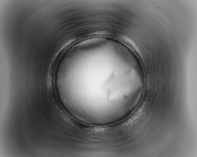 X0000093160827200710171208