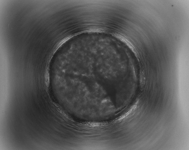 X0000093160829200710171208