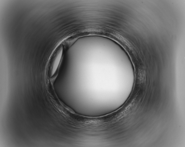 X0000093160830200710171208