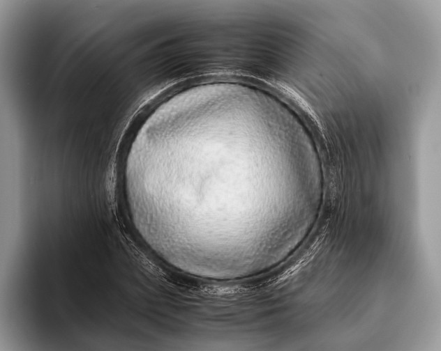 X0000093160831200710171208