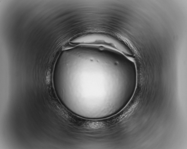 X0000093160833200710171208