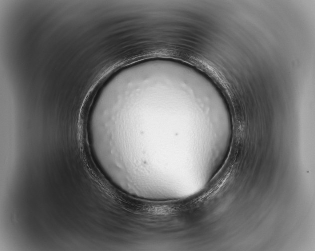 X0000093160835200710171208