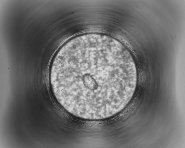 X0000093160836200710171208