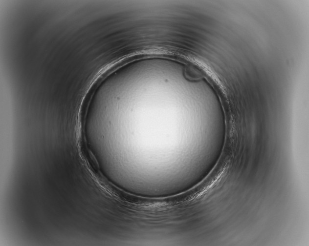 X0000093160837200710171208