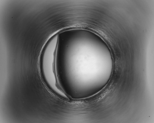 X0000093160838200710171208