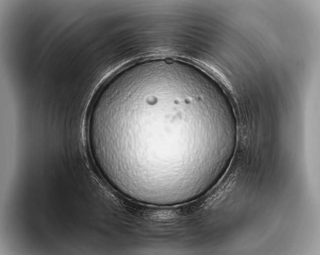 X0000093160839200710171208