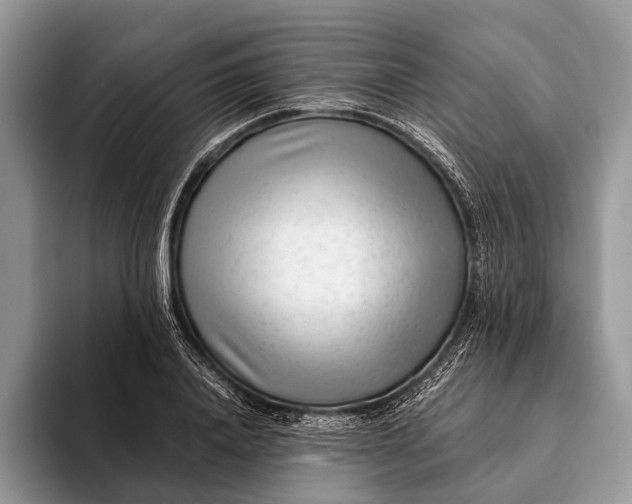 X0000093160840200710171208