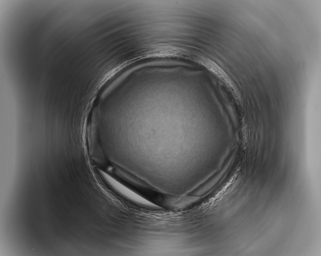 X0000093160842200710171208