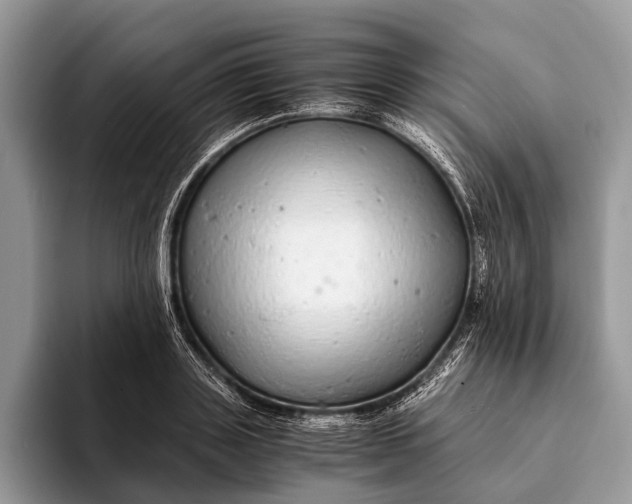 X0000093160843200710171208