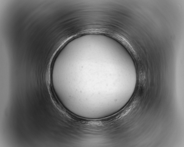 X0000093160844200710171208