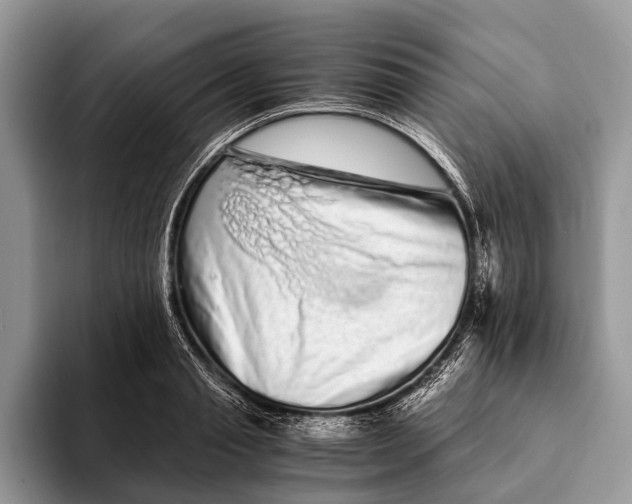 X0000093160845200710171208