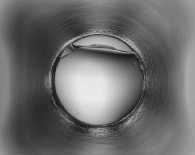 X0000093160846200710171208
