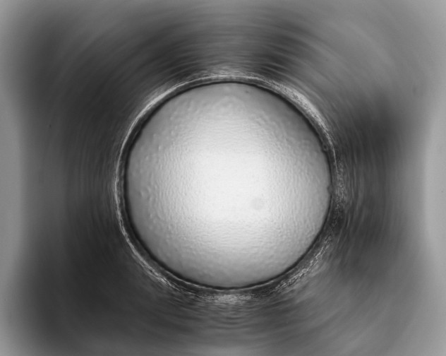 X0000093160847200710171208