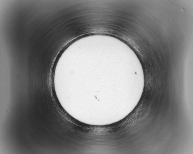 X0000093160848200710171208