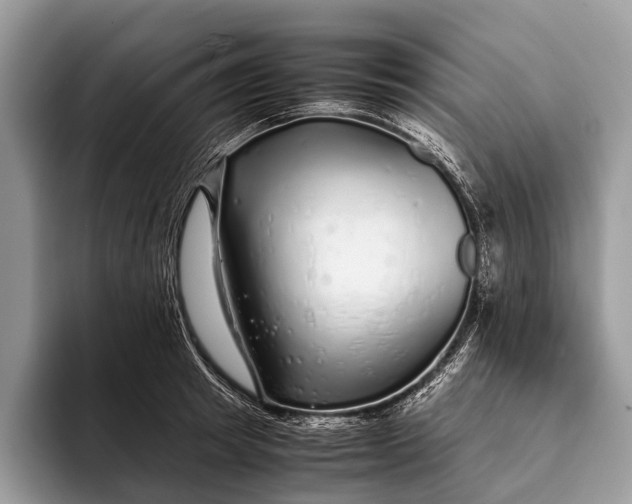 X0000093160849200710171208