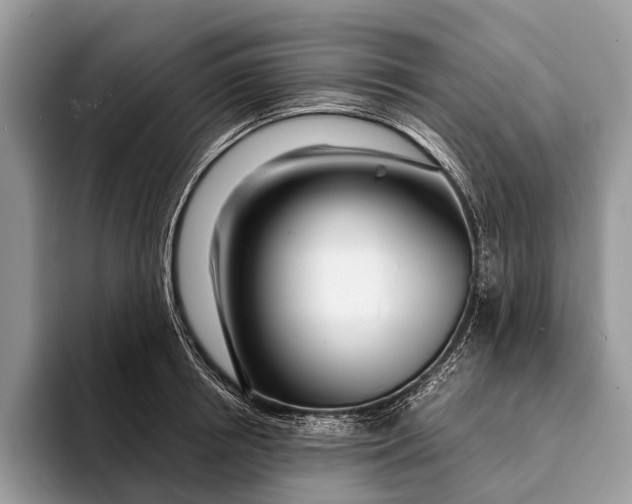 X0000093160850200710171208