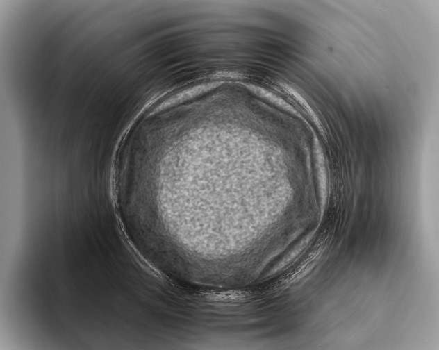 X0000093160851200710171208