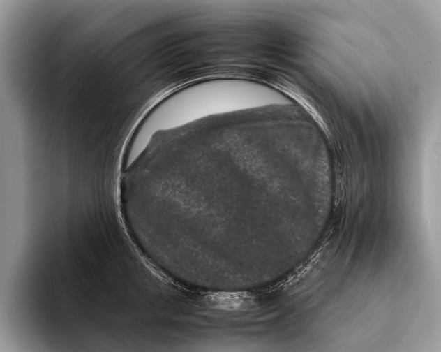 X0000093160853200710171208