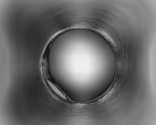 X0000093160854200710171208