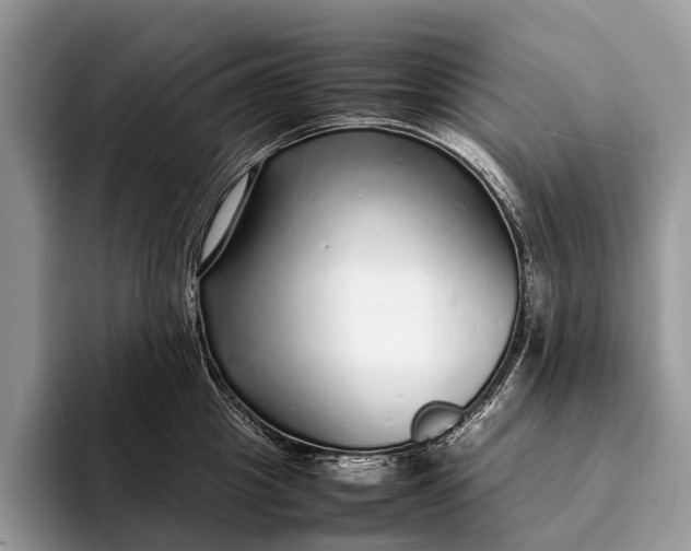 X0000093160857200710171208