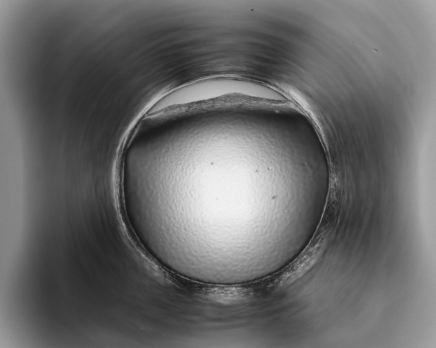 X0000093160859200710171208
