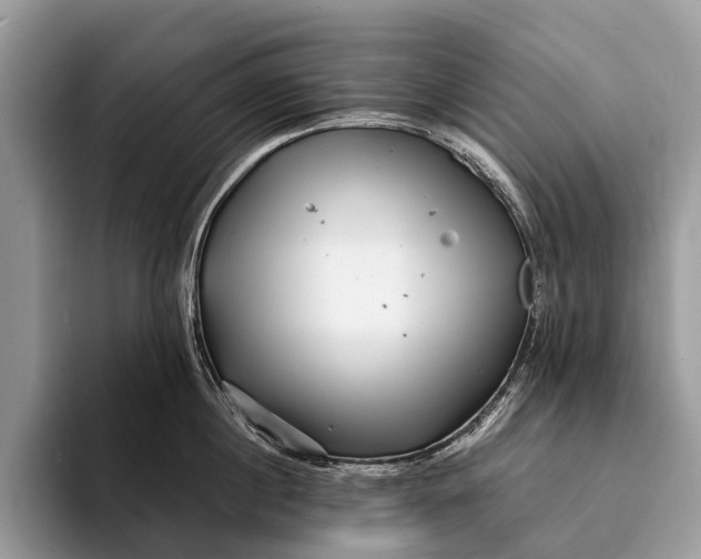 X0000093160860200710171208