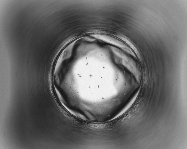X0000093160861200710171208