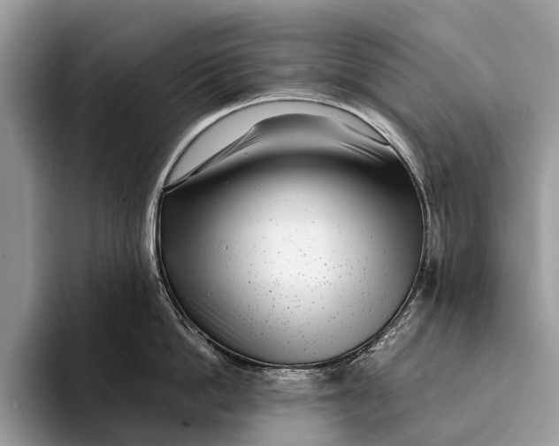 X0000093160862200710171208