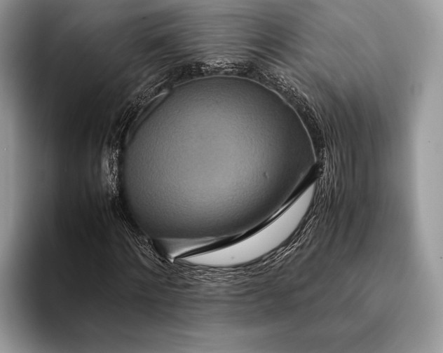 X0000093160868200710171208