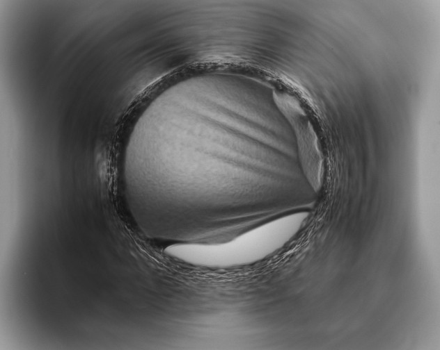 X0000093160872200710171208