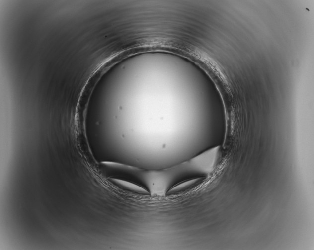 X0000093160876200710171208